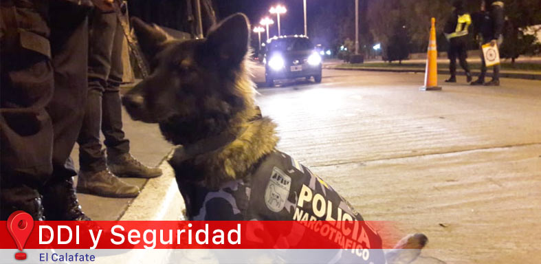 DDI y Seguridad