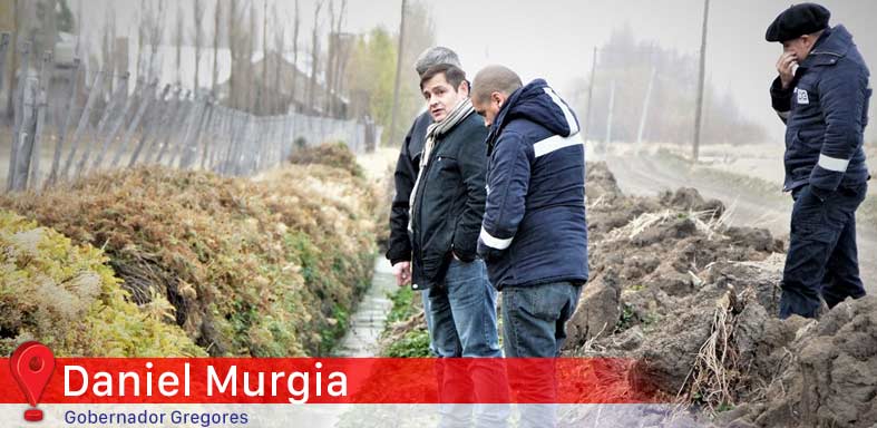 Daniel Murgia - Distrigas