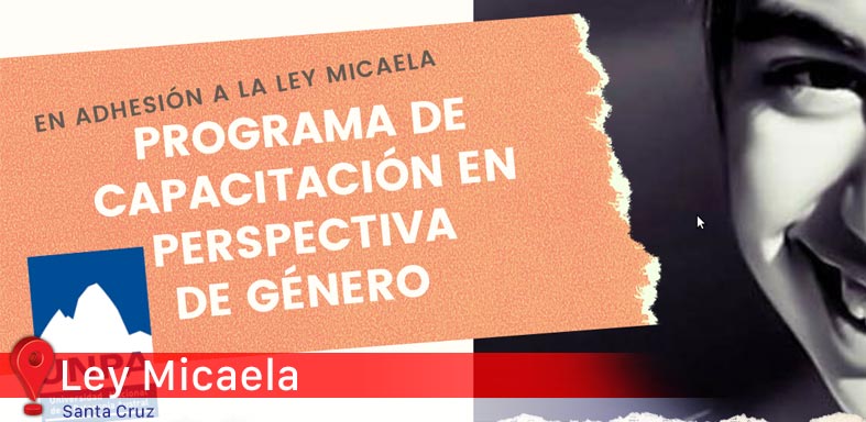 Ley Micaela
