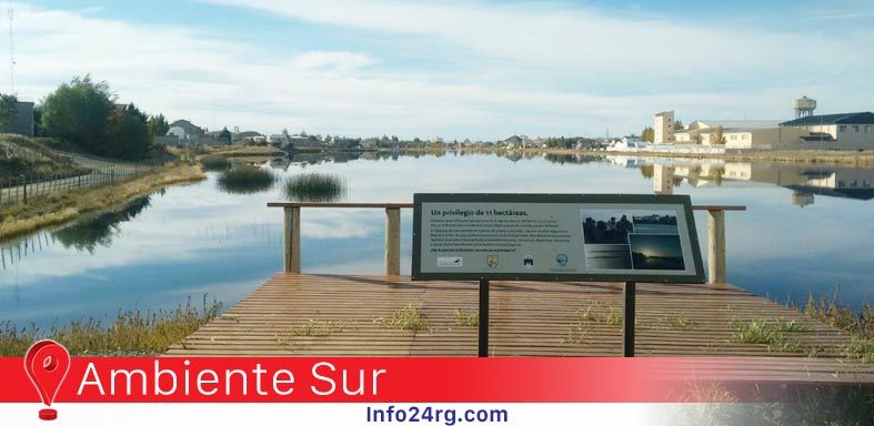Ambiente Sur