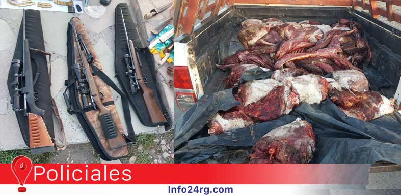 armas de fuego y carne faenada