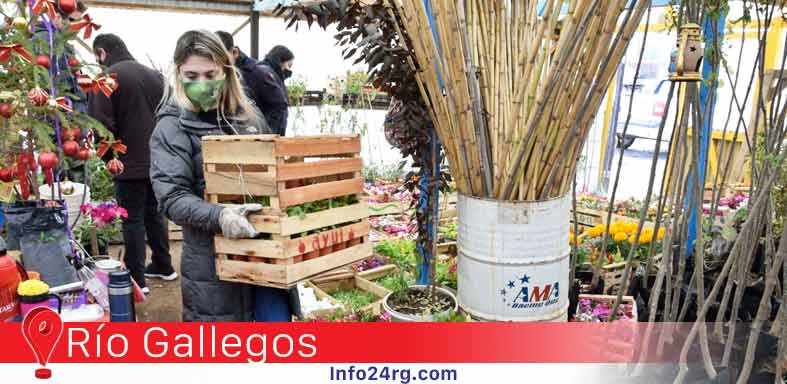 Plantines