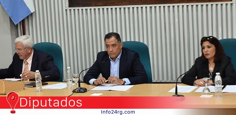 Diputados