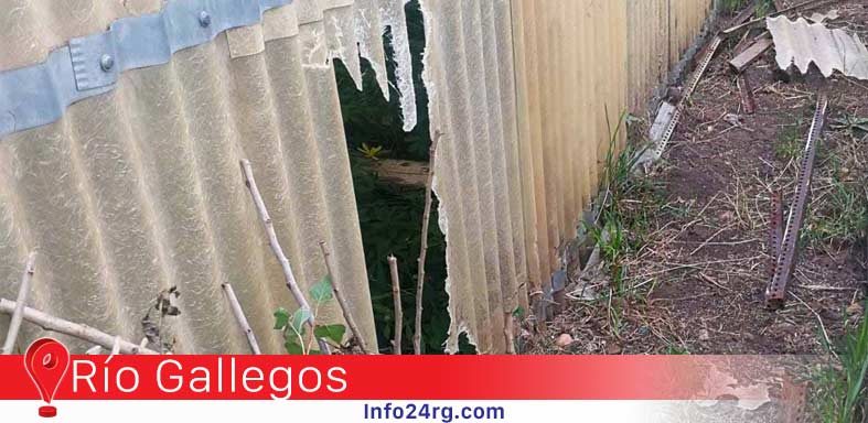 vivero