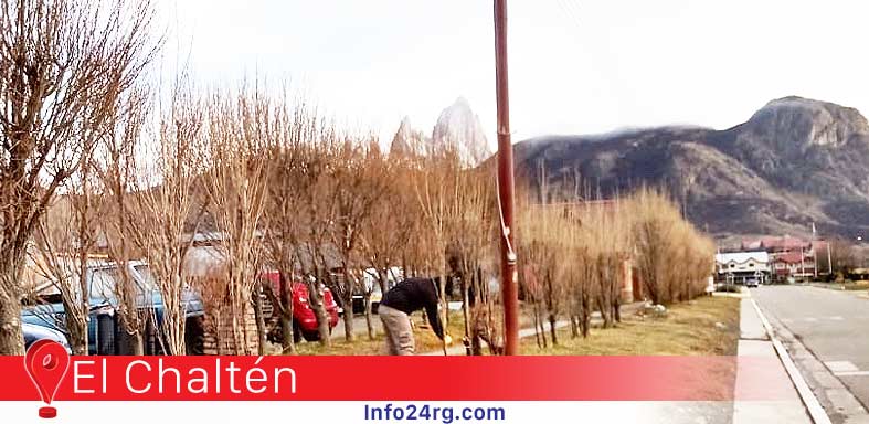 avenida Martín Miguel de Güemes