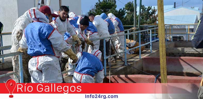 Confirmado: Finalizaron los trabajos en la Planta Potabilizadora de Agua