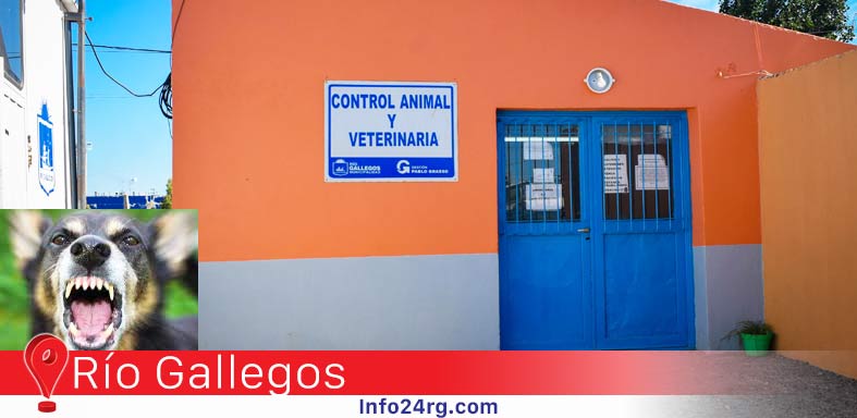 Control Animal 