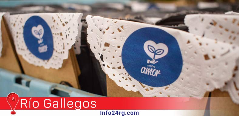 semillas para plantines