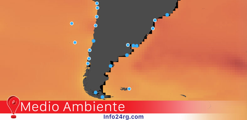 Herramienta permite observar estimaciones sobre la subida del nivel del mar