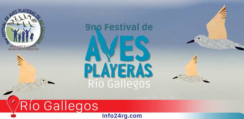 Festival de Aves Playeras