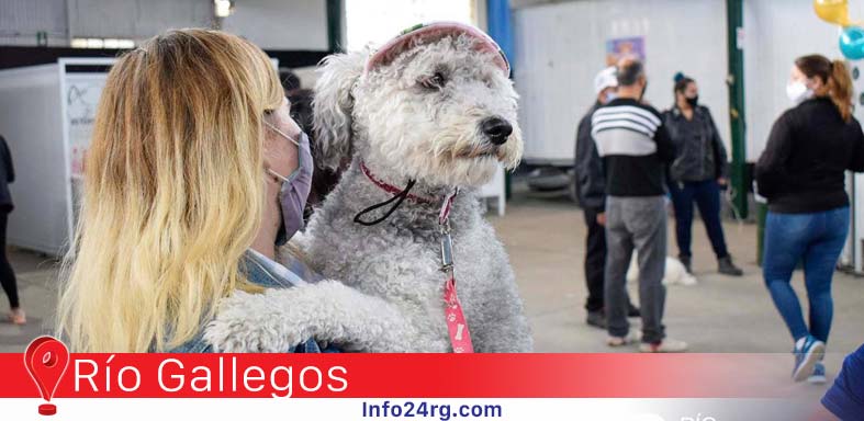 Expo Animal