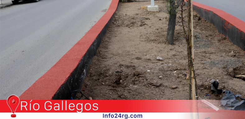 A tan solo unos días de se plantados, se vuelven a robar plantas