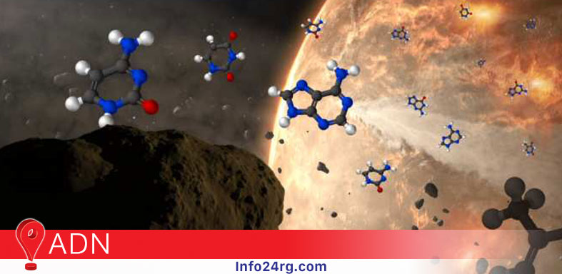 ADN en asteroides 