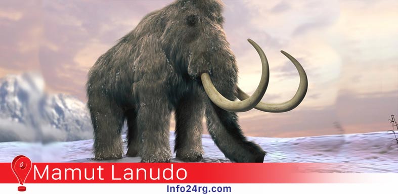 mamut lanudo