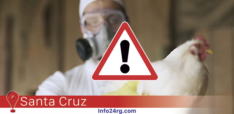 Influenza Aviar