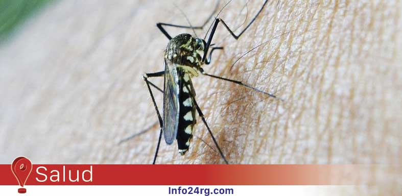 Crece el brote de dengue en Argentina 