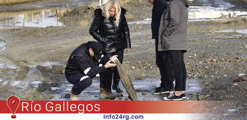 obra de saneamiento en Río Gallegos