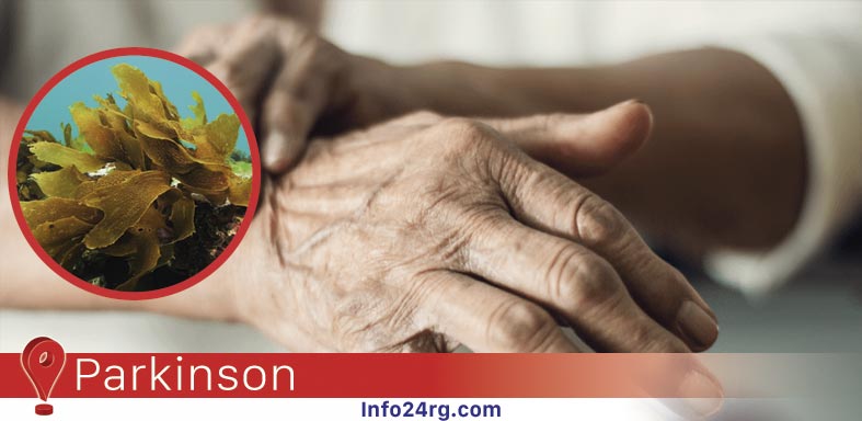 Parkinson: Antioxidantes de algas