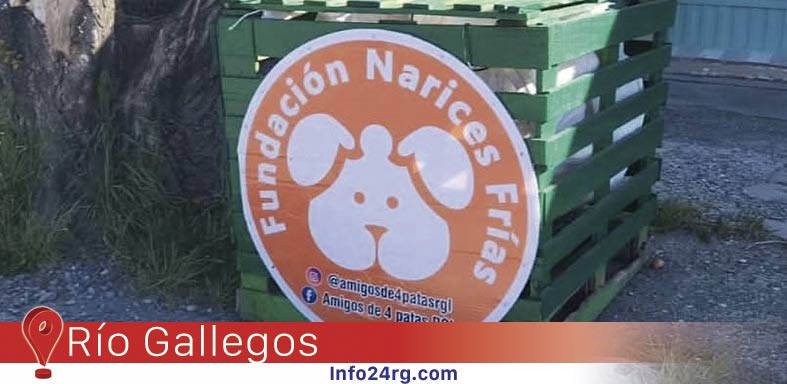 Huellitas de Amor