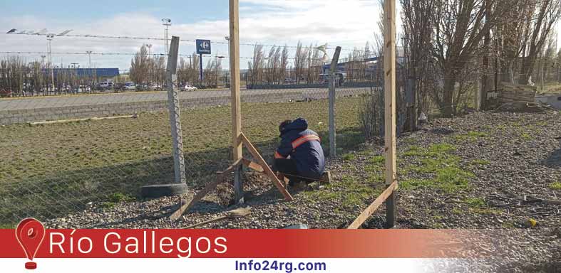 Control Animal: Ampliación de espacios