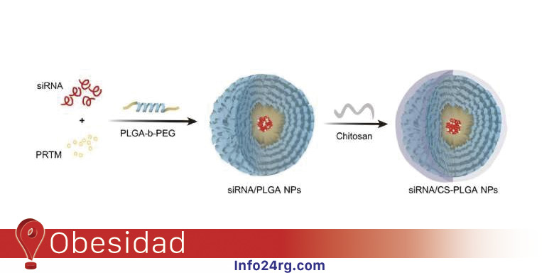 Nanopartículas