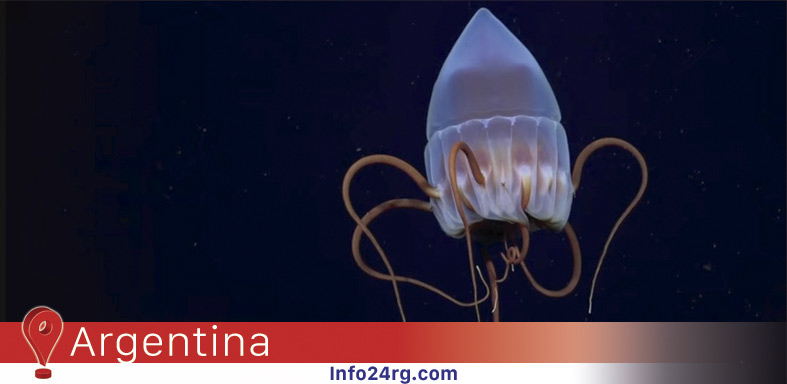 La expedición Talud IV arrasa en redes