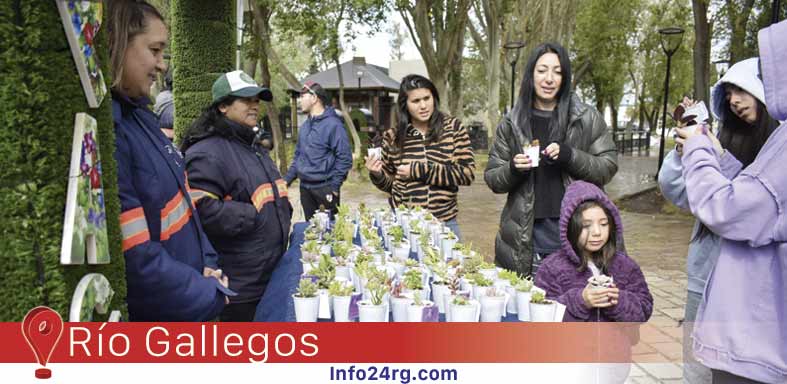 plantines como regalo verde en el Día de la Mujer