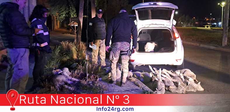 Fuga y allanamiento: