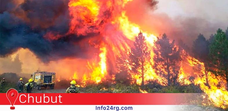 Fuego, ajuste libertario y ficción institucional