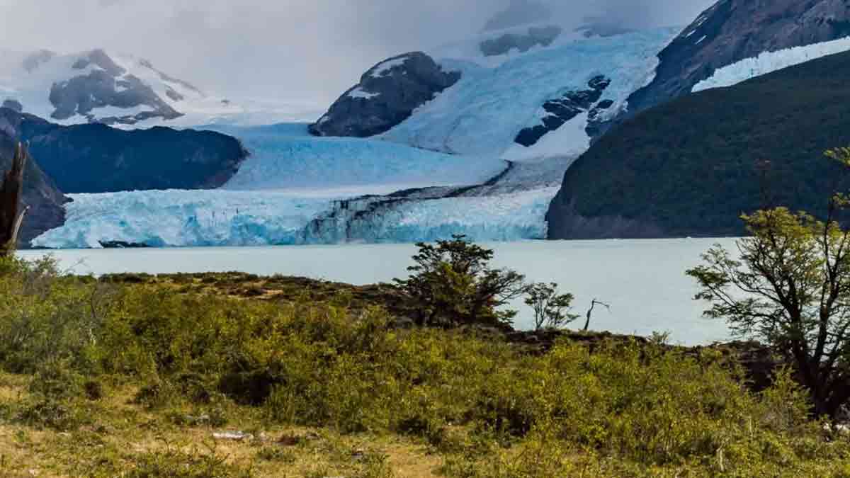 La reforma de Milei sobre propiedad privada enciende alertas por tierra y ambiente