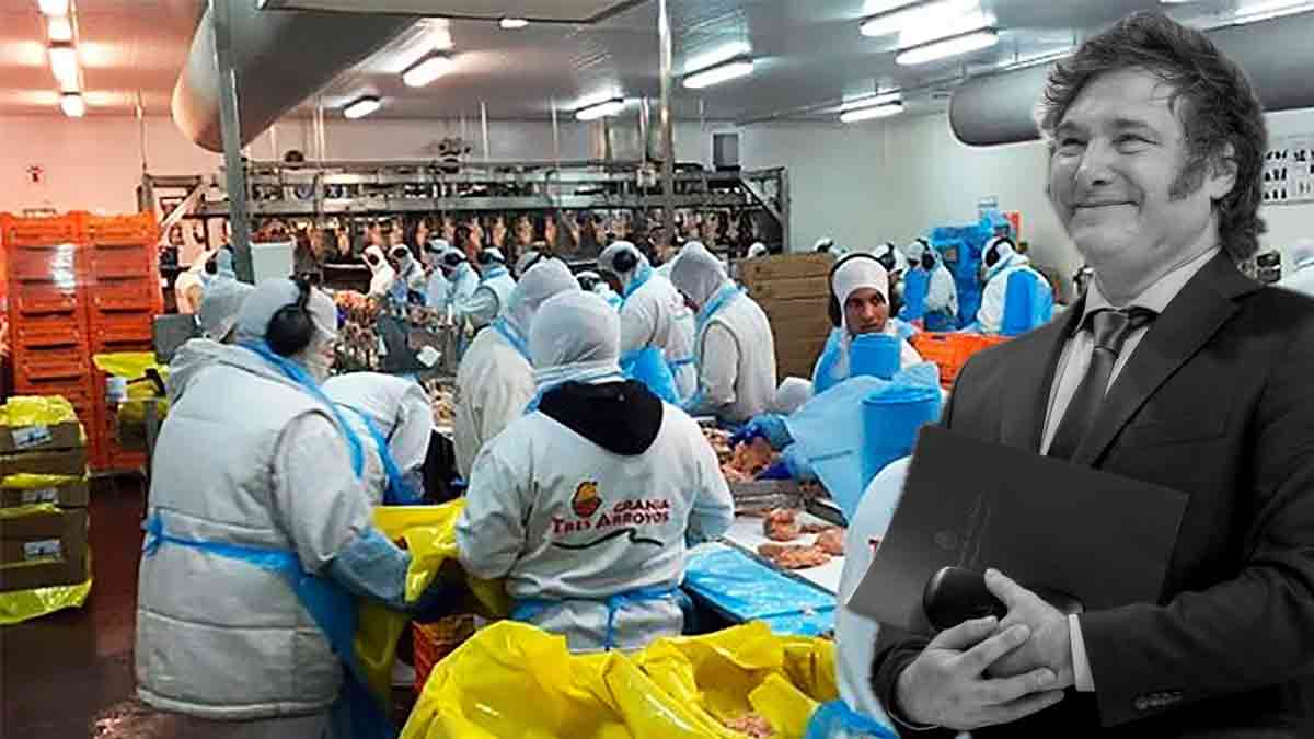 Era Milei: Continúan los despidos masivos en Argentina