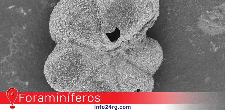 asteroide que extinguió a los dinosaurios