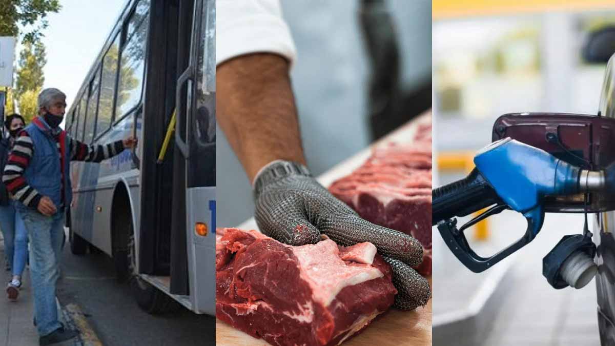 El consumo no levanta: carne, combustibles y servicios volvieron a caer