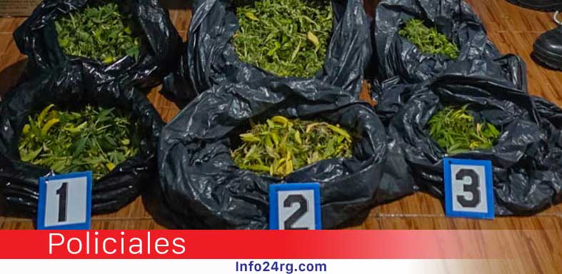 Narcomenudeo en Río Gallegos: