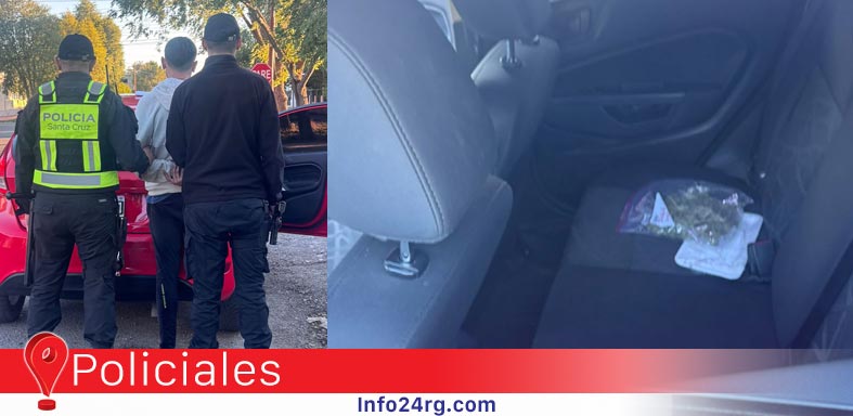 Detectan droga en un vehículo