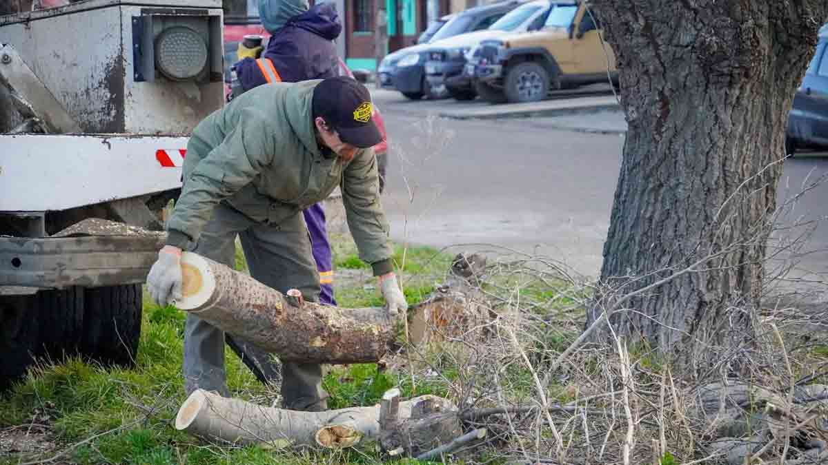 Avanzan las tareas de poda sobre la calle Federico Spuhr