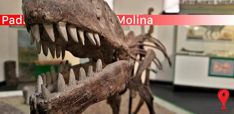 Museo