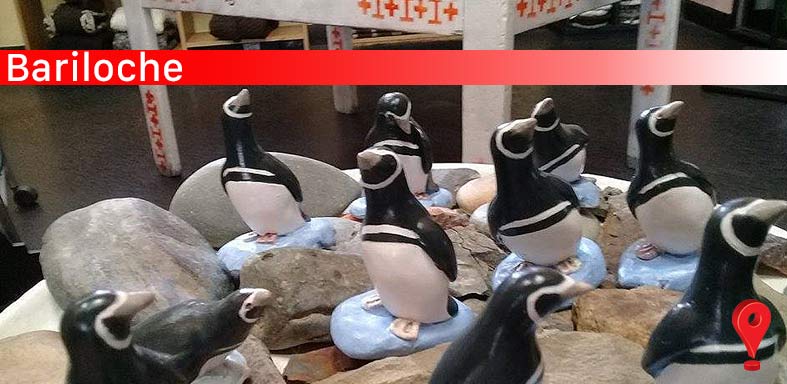 MICA Región Patagonia 2018