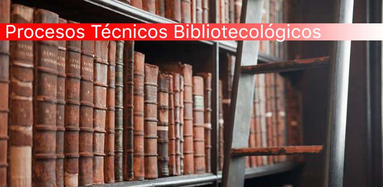 La Biblioteca Lenzi Dictará una Capacitación para Bibliotecólogos
