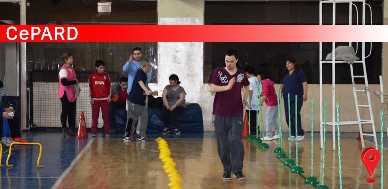 Día de la Discapacidad