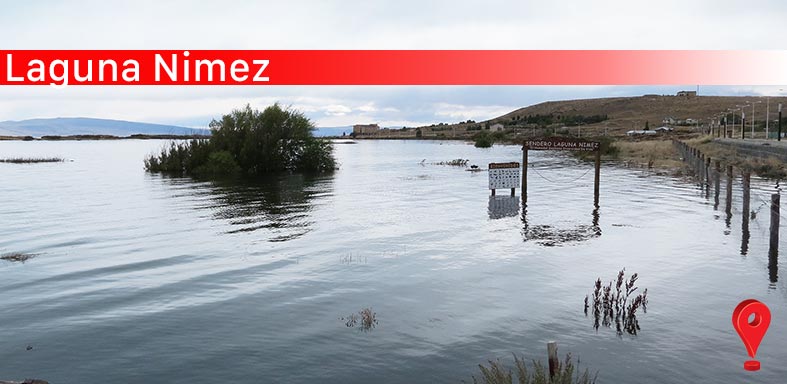 Laguna Nimez