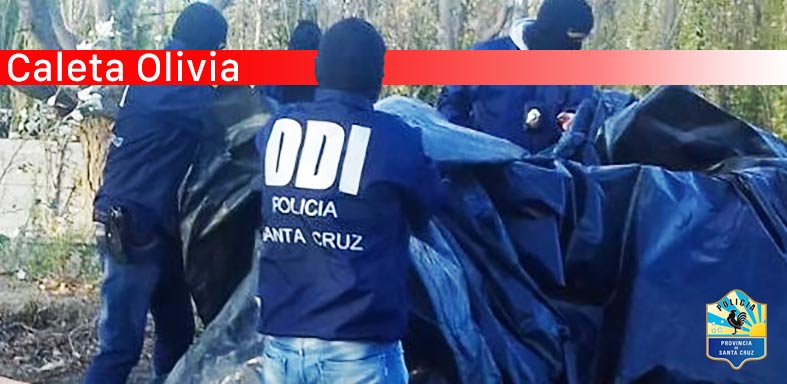 Robos en Caleta Olivia