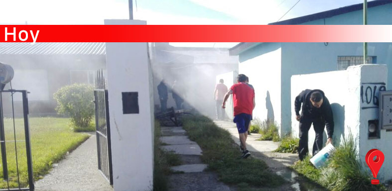 Policiales