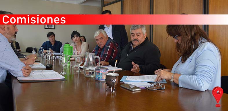 Diputados