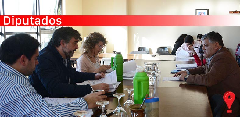 Comisiones Diputados