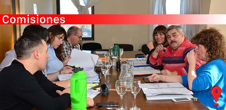 Se llevaron a cabo las reuniones de comisión