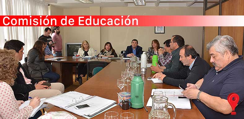 Autoridades del CPE en la Comisión de Educación de la Cámara de  Diputados