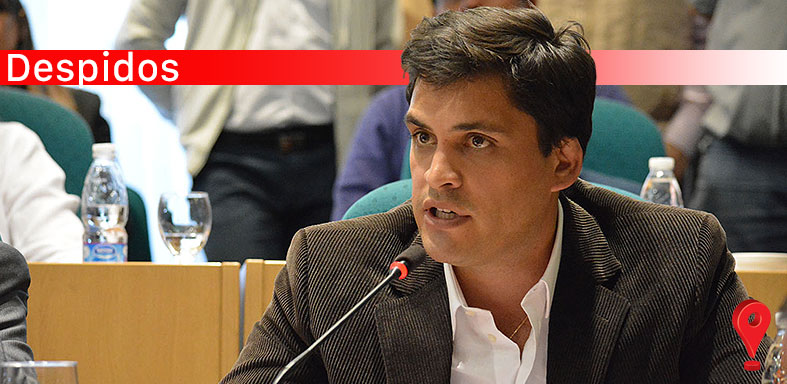 Diputados