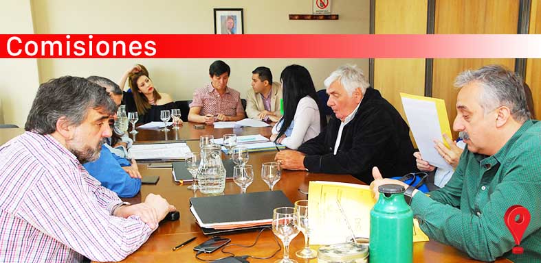 Legisladores mantuvieron reuniones de comisión