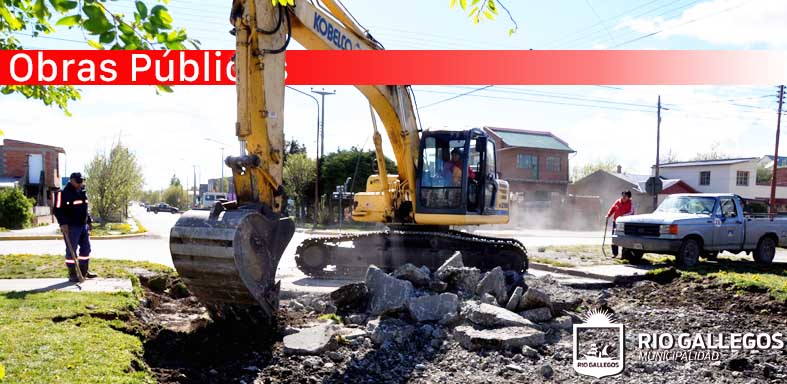 Continúan trabajos de señalización, reparación y forestación en la ciudad